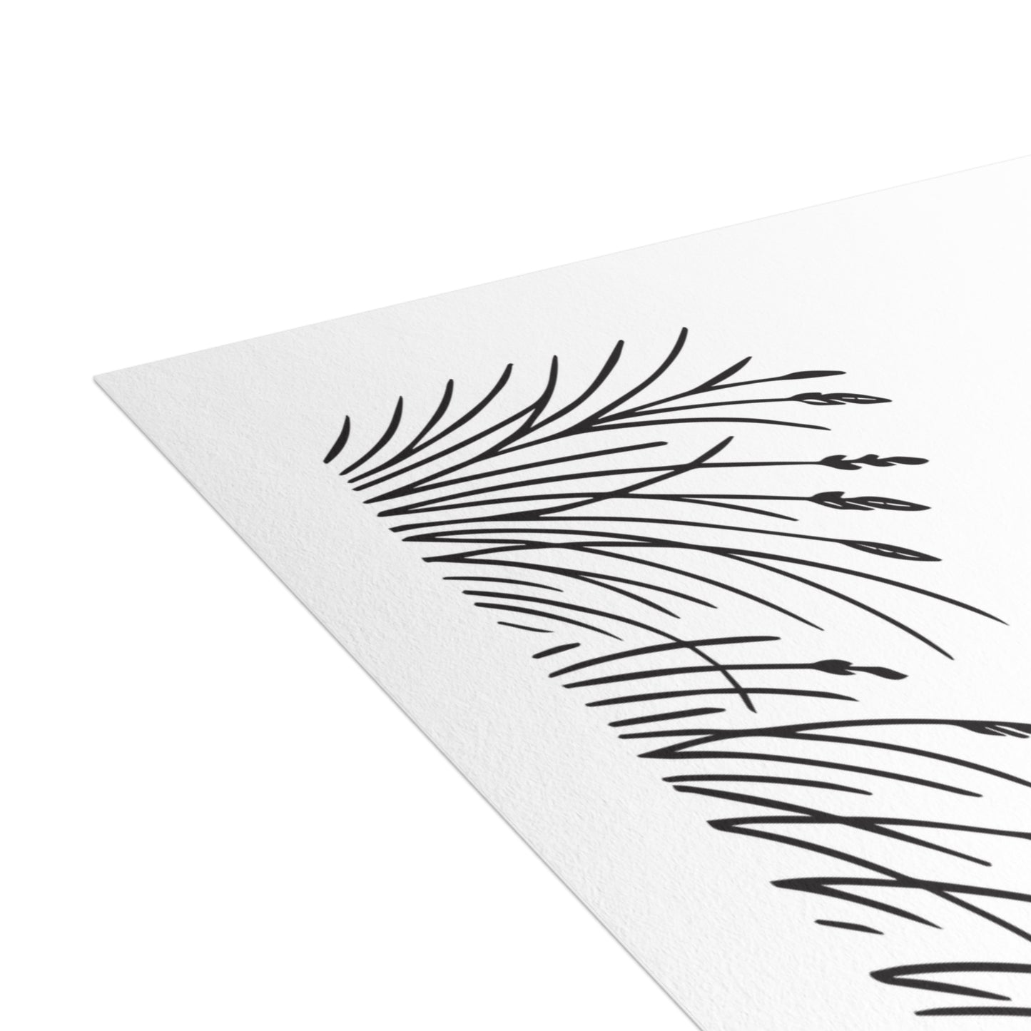 Prarie Grass Thank You Postcard Bundle with Envelopes