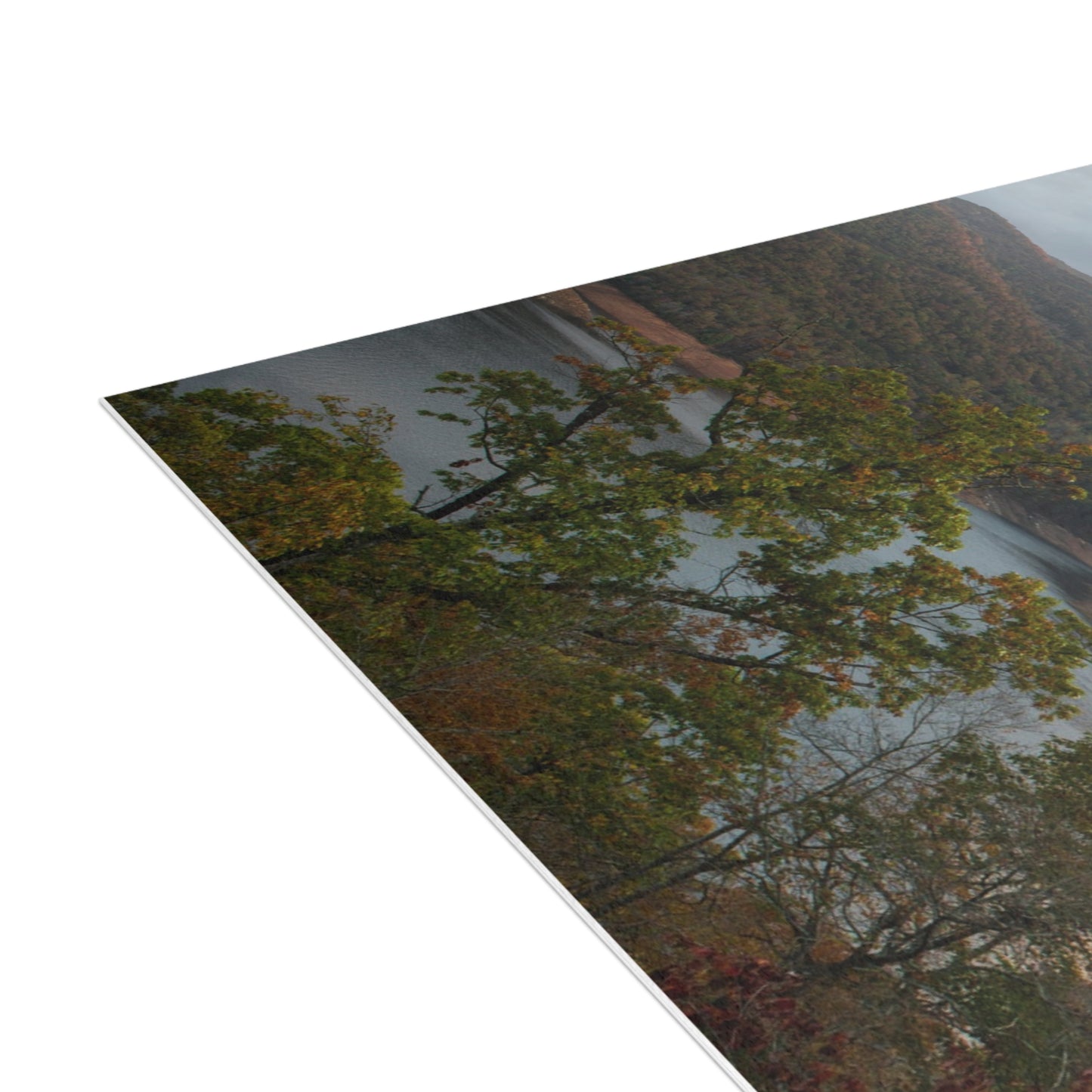 Thank You Mountain Postcard Set with Envelopes