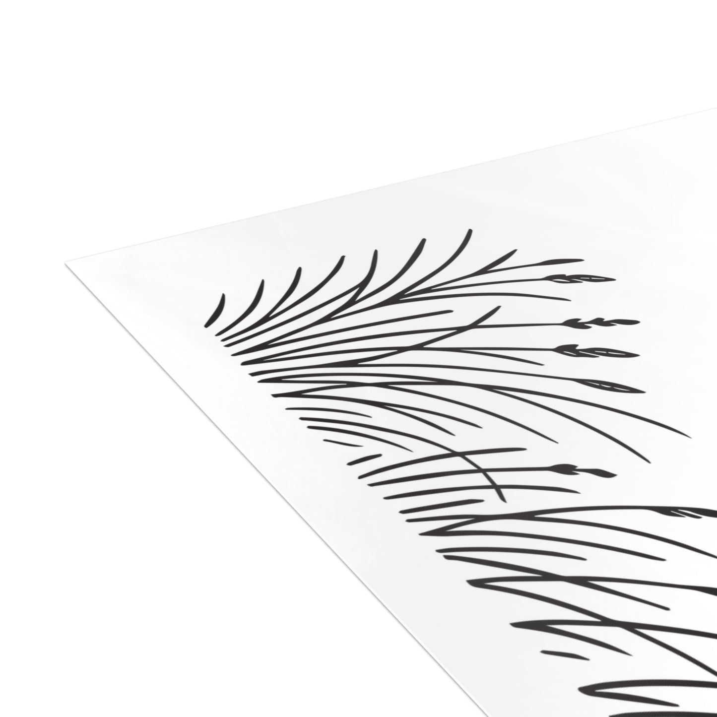 Prarie Grass Thank You Postcard Bundle with Envelopes