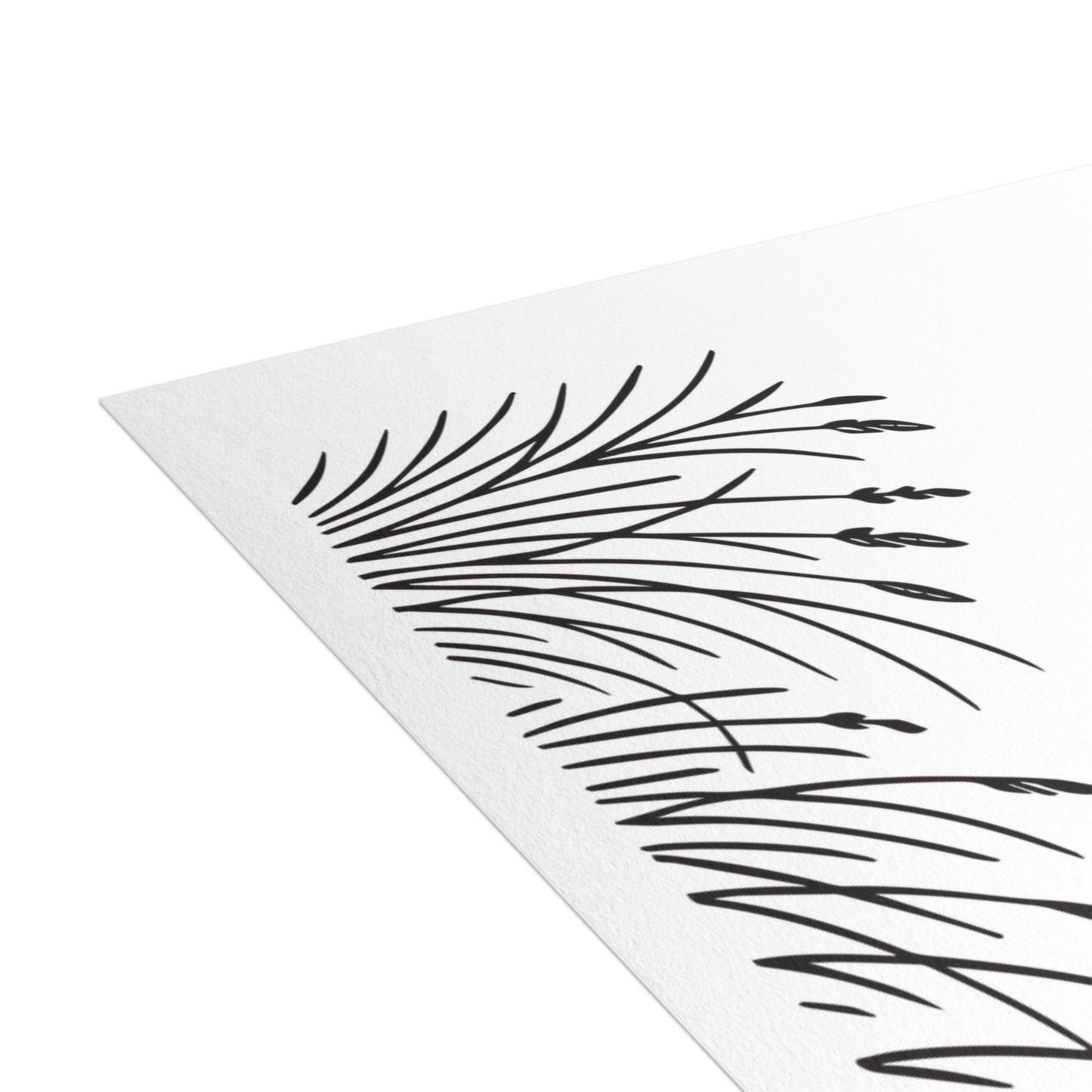 Prarie Grass Thank You Postcard Bundle with Envelopes