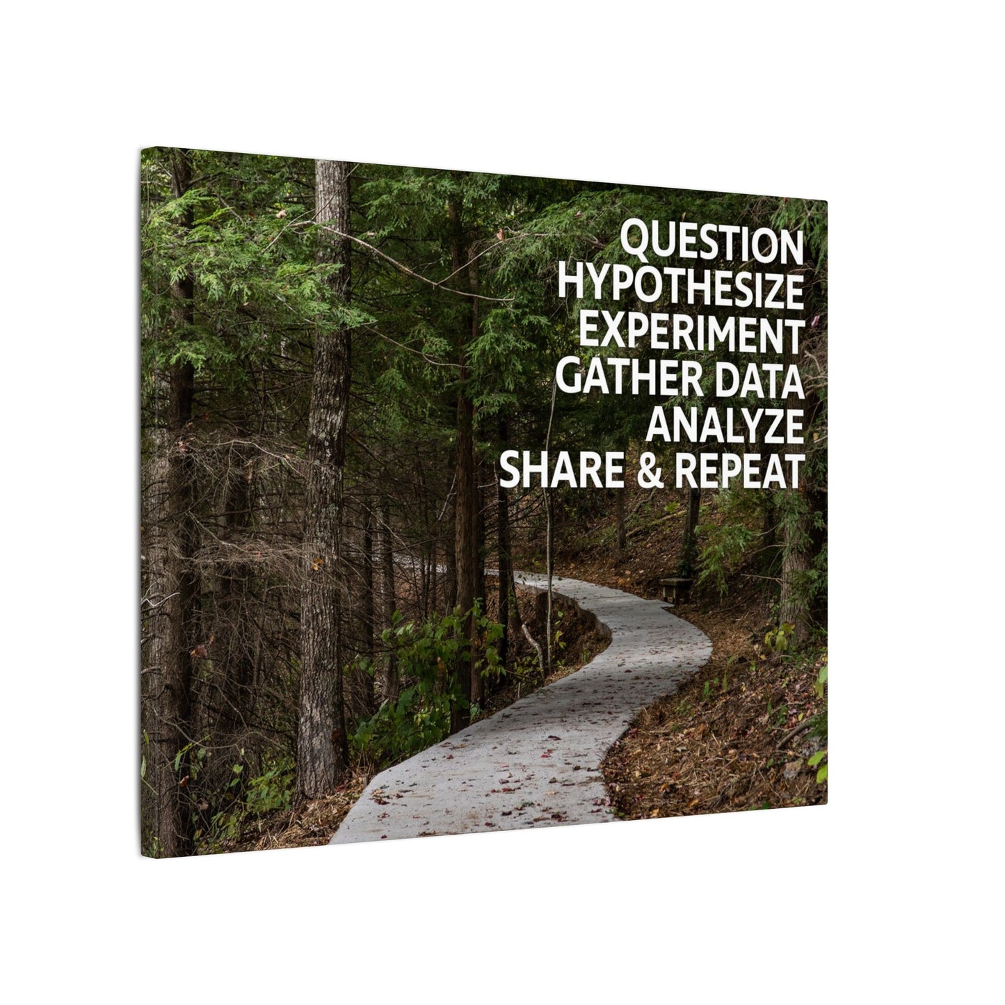 Scientific Method Nature Path Canvas Print