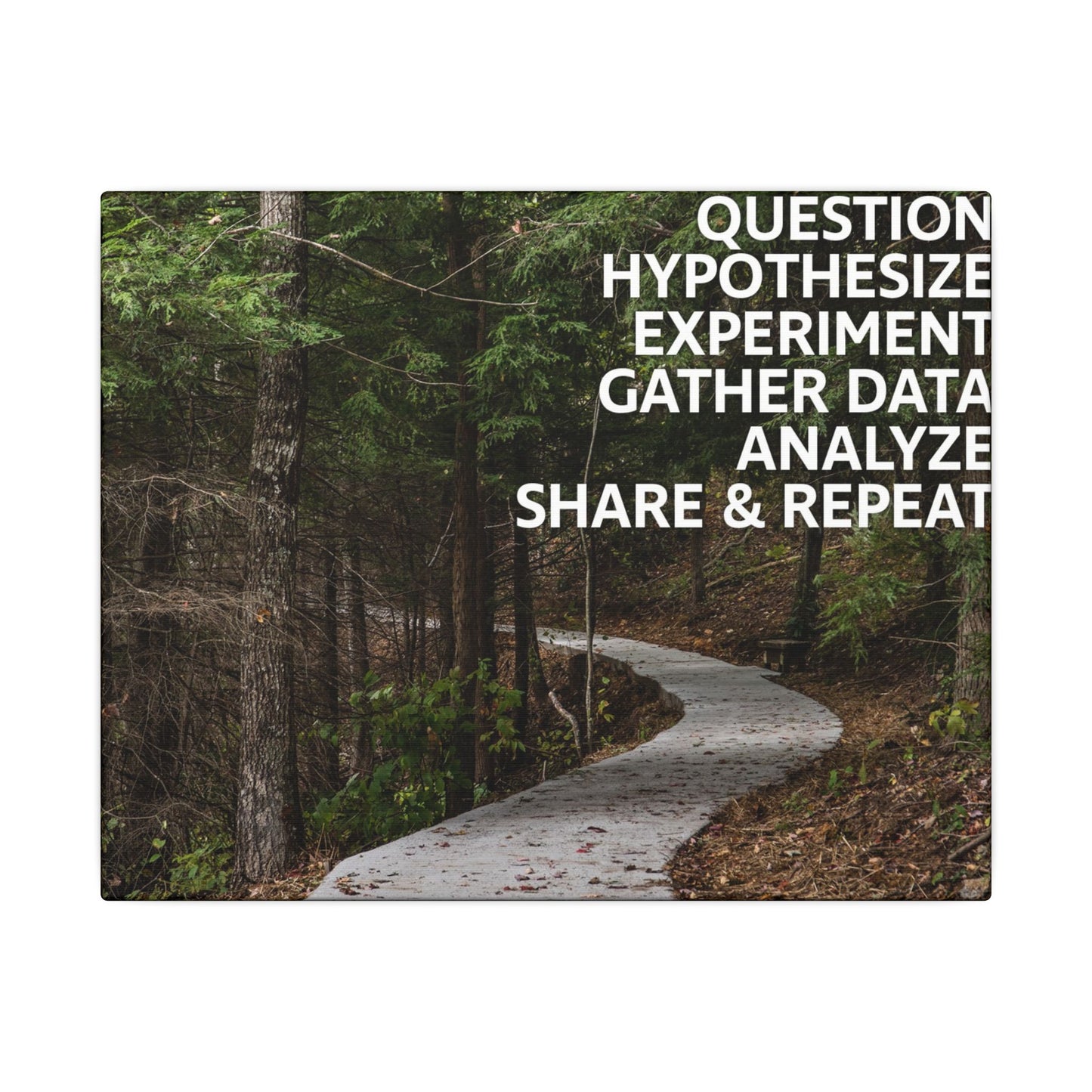 Scientific Method Nature Path Canvas Print
