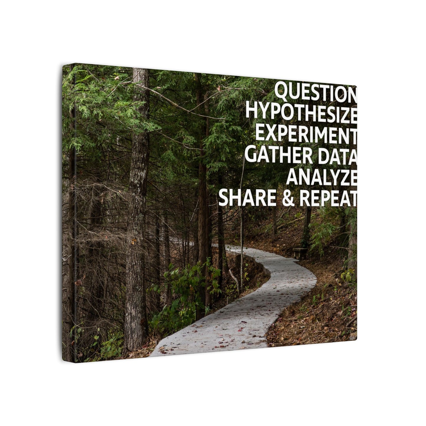 Scientific Method Nature Path Canvas Print
