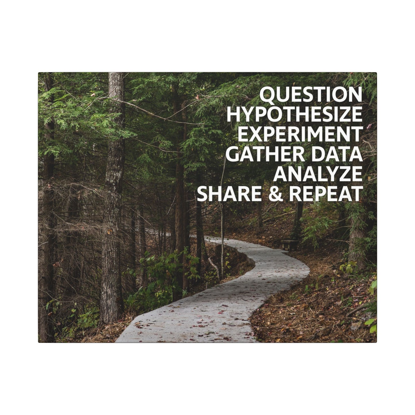 Scientific Method Nature Path Canvas Print
