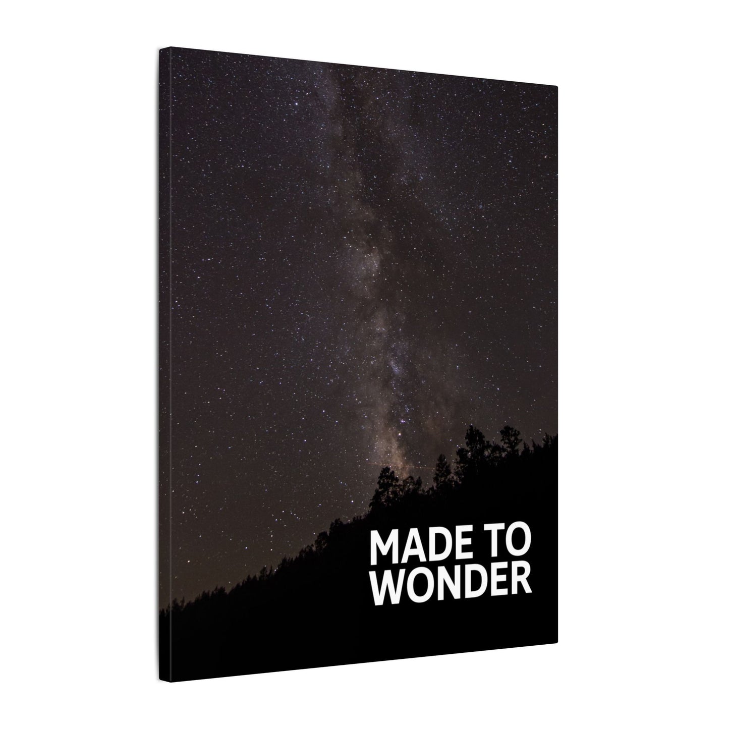 Made to Wonder Milky Way Canvas Art